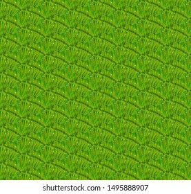grass seamless texture for game illustration print green background vector