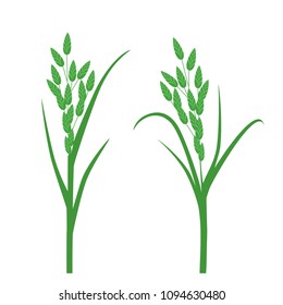 Grass seeds. Vector illustration of an isolated on white background.
