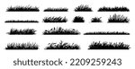 Grass set. Hand drawn grass borders, isolated on white background. Vector illustration.
