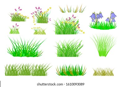 Grass set isolated on white background. Collection with summer green grass and flowers. Realistic green grass, fresh spring plants, different herbs, bush of grass of various shapes. Stock vector 