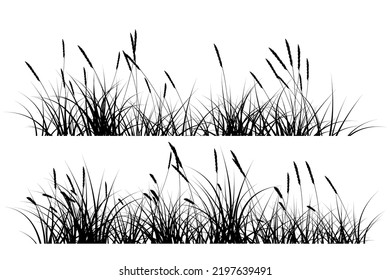 grass set isolated. reeds grass group