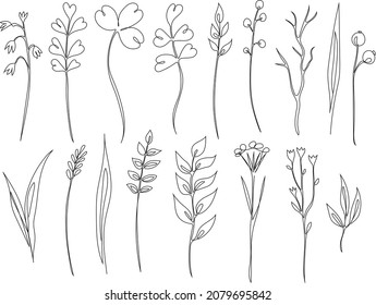 Grass set. Line art. Vector illustration