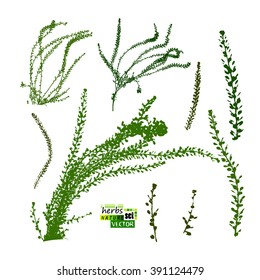 grass set of objects. Vector