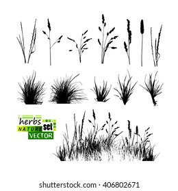 grass set. Vector