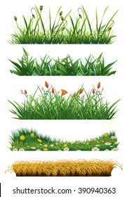 Grass set of vector elements. Fresh grass. Nature and ecology