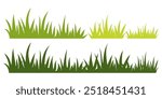 Grass. Set of Grass vector illustrations in flat style. Grass illustration isolated on white background