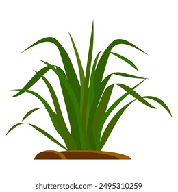
Grass. Set of Grass vector illustrations in flat style. Grass illustration isolated on white background