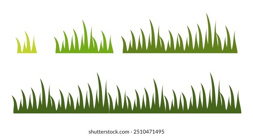 Grass. Set of Grass vector illustrations in flat style. Grass illustration isolated on white background.