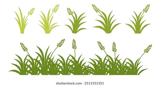 Grass. Set of Grass vector illustrations in flat style. Grass illustration isolated on white background.