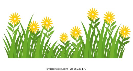 Grass. Set of Grass vector illustrations in flat style. Grass illustration isolated on white background.
