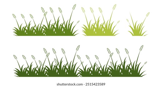 Grama. Conjunto de ilustrações de vetor Grass em estilo plano. Ilustração de grama isolada sobre fundo branco.