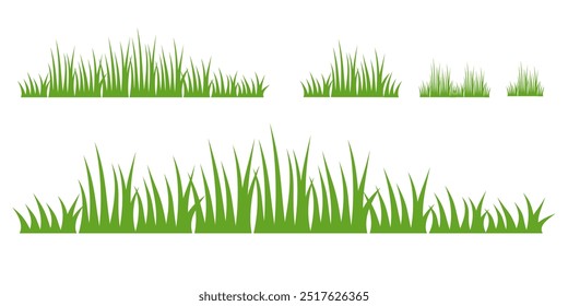 Grass. Set of Grass vector illustrations in flat style. Grass illustration isolated on white background