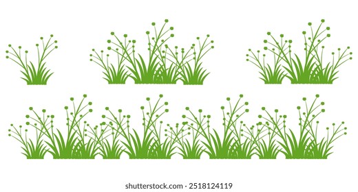 Grass. Set of Grass vector illustrations in flat style. Grass illustration isolated on white background