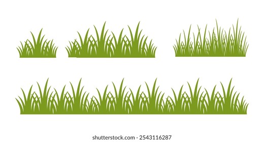 Grass. Set of Grass vector illustrations in flat style. Grass illustration isolated on white background