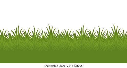 Grass. Set of Grass vector illustrations in flat style. Grass illustration isolated on white background