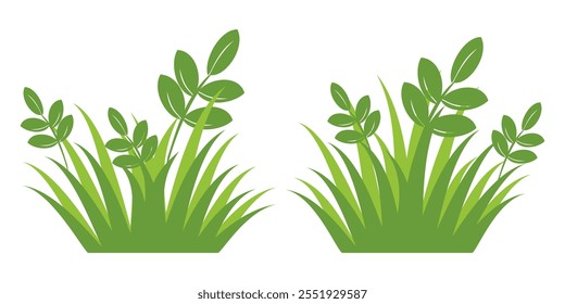 Grass. Set of Grass vector illustrations in flat style. Grass illustration isolated on white background