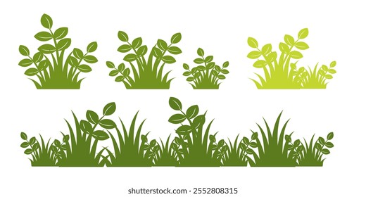 Grass. Set of Grass vector illustrations in flat style. Grass illustration isolated on white background