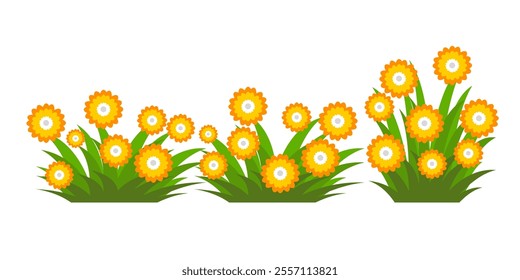 Grass. Set of Grass vector illustrations in flat style. Grass illustration isolated on white background