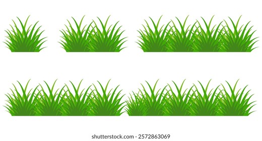 Grass. Set of Grass vector illustrations in flat style. Grass illustration isolated on white background