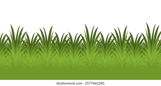 Grass. Set of Grass vector illustrations in flat style. Grass illustration isolated on white background