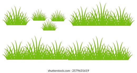 Grass. Set of Grass vector illustrations in flat style. Grass illustration isolated on white background