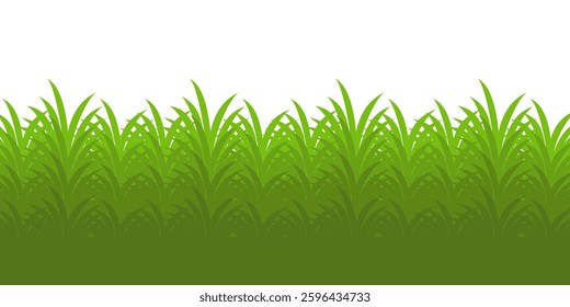 Grass. Set of Grass vector illustrations in flat style. Grass illustration isolated on white background