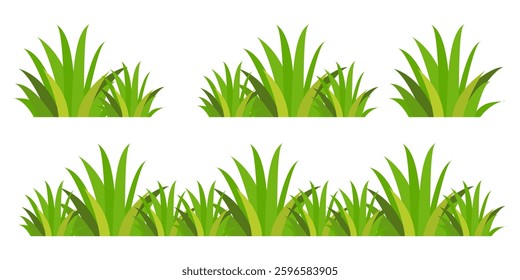 Grass. Set of Grass vector illustrations in flat style. Grass illustration isolated on white background