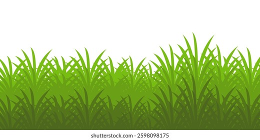 Grass. Set of Grass vector illustrations in flat style. Grass illustration isolated on white background