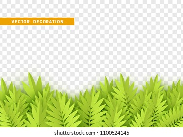 Grass, shape plant leaves border isolated with transparent background. Vector Illustration