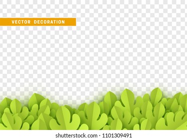 Grass, shape plant leaves border isolated with transparent background. Vector Illustration