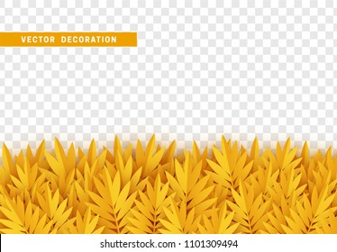 Grass, shape plant leaves border isolated with transparent background. Vector Illustration