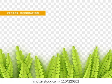 Grass, shape plant leaves border isolated with transparent background. Vector Illustration