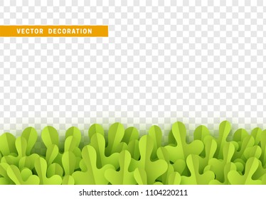 Grass, shape plant leaves border isolated with transparent background. Vector Illustration