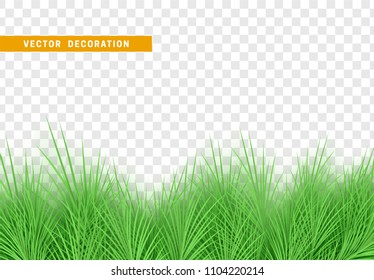 Grass, shape plant leaves border isolated with transparent background. Vector Illustration