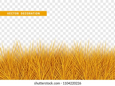 Grass, shape plant leaves border isolated with transparent background. Vector Illustration