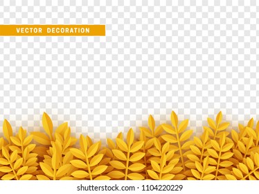 Grass, shape plant leaves border isolated with transparent background. Vector Illustration