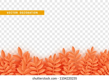 Grass, shape plant leaves border isolated with transparent background. Vector Illustration