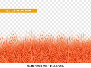 Grass, shape plant leaves border isolated with transparent background. Vector Illustration