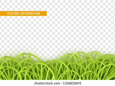 Grass, shape plant leaves border isolated with transparent background. Vector Illustration