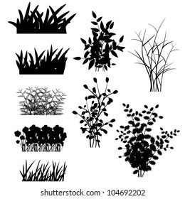 grass, shrubs