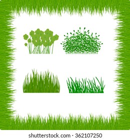 grass, shrubs