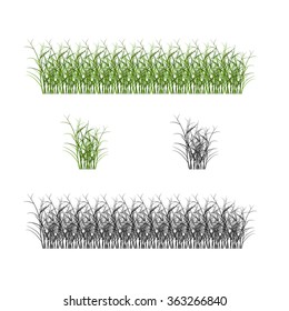 grass, shrubs