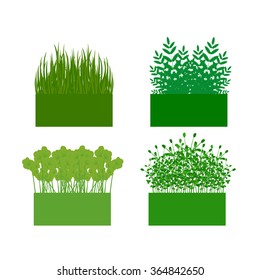 grass, shrubs