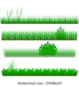 grass, shrubs.