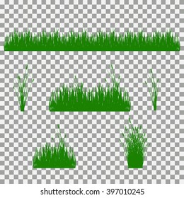 grass, shrubs. A set of various types of grass. 