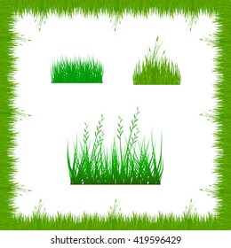 grass, shrubs. A set of various types of grass. . Set of grass vector illustration. Green grass and bushes.