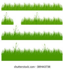 grass, shrubs.  Set of grass vector illustration. Green grass and bushes.