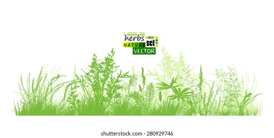 Grass silhouette background. Vector