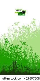 Grass silhouette background. Vector