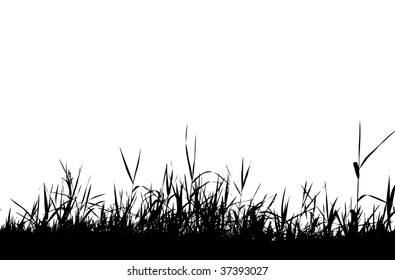 414,235 Weeds and grass Images, Stock Photos & Vectors | Shutterstock